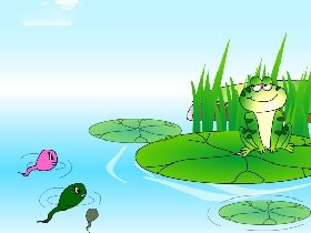 《照片》儿童故事绘本分享
