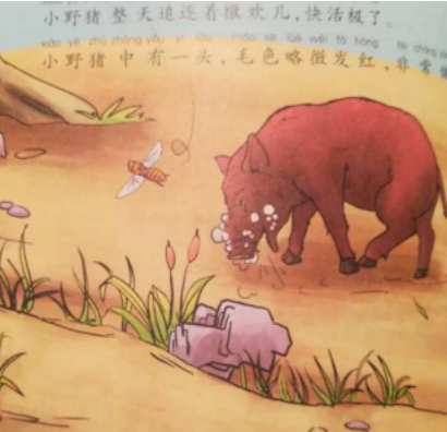 《野猪的泡泡》儿童故事绘本分享
