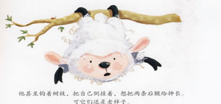 《袋鼠》儿童故事绘本分享,《袋鼠》儿童故事绘本分享故事大全