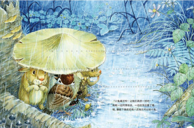 《雨中》儿童故事绘本分享
