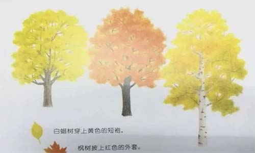 《秋天的书》儿童绘本故事分享配图3