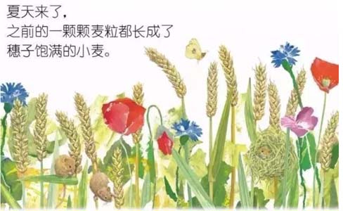 《谢谢你，好吃的面包！》儿童绘本故事分享配图2
