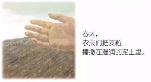 《谢谢你，好吃的面包！》儿童绘本故事分享配图1