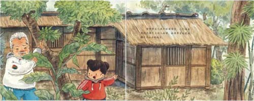 《谷雨：养蚕忙》儿童绘本故事分享配图3