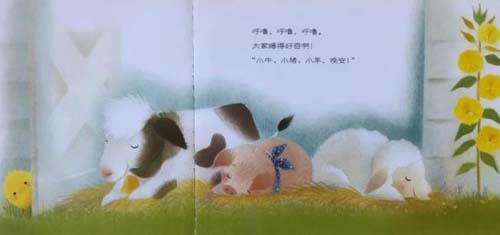 《晚安，小鸡球球》儿童绘本故事分享配图2